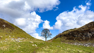 USD, duration-UST yields, Crude top out into Q-end / EU inflation 2y lows / UAW / U.S govt shutdown?