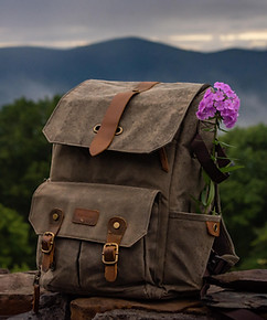 Image by Abigail Ducote