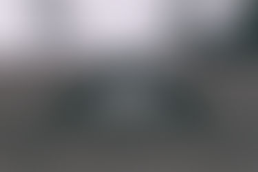 Asphalt Shingles vs. Steel Roofs: Choosing the Best Roofing Option for Southern Ontario