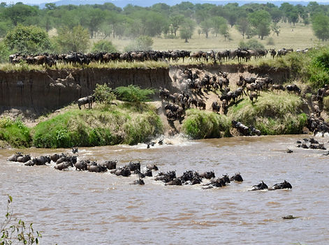 On Target Safaris | Tanzania safari