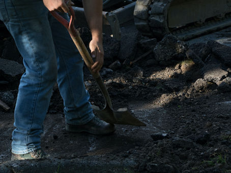 Ensure Your Garden Is Ready for the Unpredictable Autumn and Winter Weather