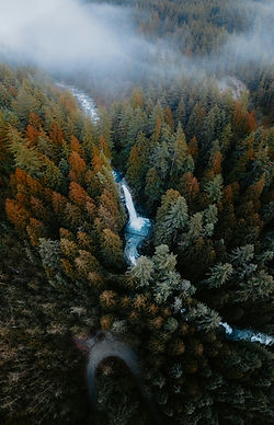 Image by Luke Miller