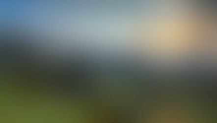 You Can’t Heal in the Same Environment That Keeps You Small