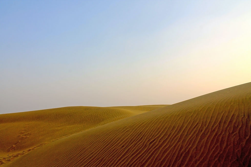 Thumbnail: The Resplendent Rajasthan