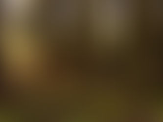 Lent 2023: John 7:10-36