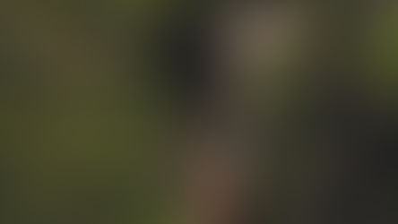 Cerrado: o tesouro do Brasil