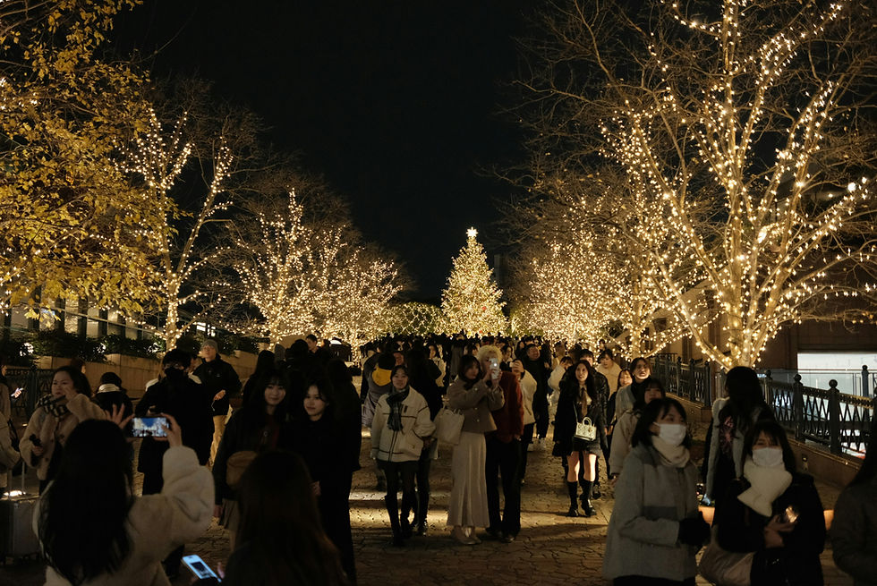 Many cities in Japan have beautiful illuminations at the end of the year