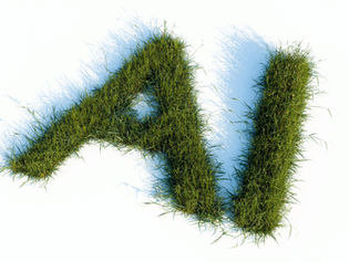 AI-logo's niet auteursrechtelijk beschermd: wat betekent dit voor uw onderneming?