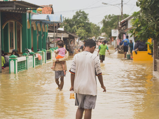 Flood-associated disease outbreaks and transmission in Southeast Asia - Introduction 17
