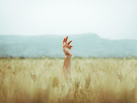 每日靈修12-12-2025