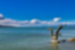Image de Alain ROUILLER
