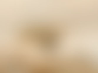 Budidaya Tokek Dengan Keuntungan Hingga Jutaan Rupiah