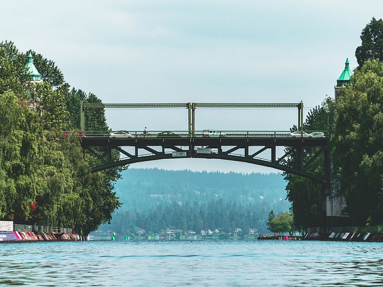 Image by Drew Harbour