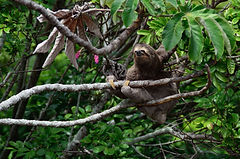 Image by Kleber Varejão Filho