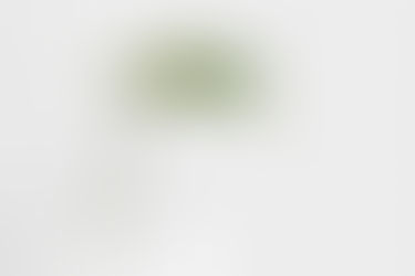 Learning to Live More Simply