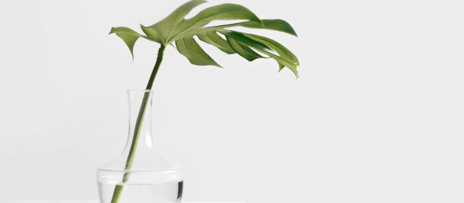 Week 3 :30 Jan - 5 Feb 2023 ✨