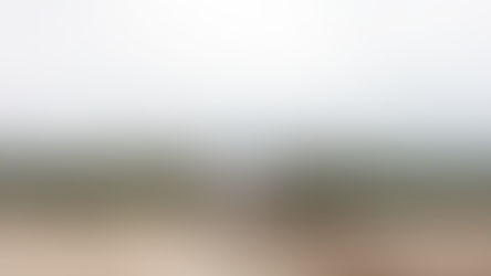 Should I stay or should I go?