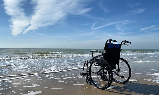 Image by Hans Moerman