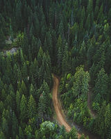 Image by Andy Feliciotti