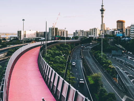 Career-Ready Graduates: How a New Zealand Education Opens Doors to Global Opportunities
