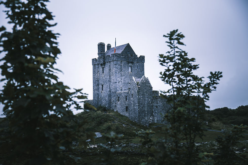 Image by Kevin Bosc