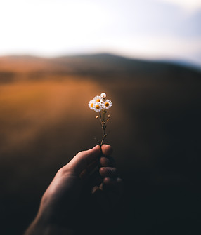 Image by Taneli Lahtinen