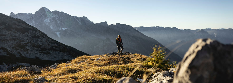 Image by Colin Moldenhauer