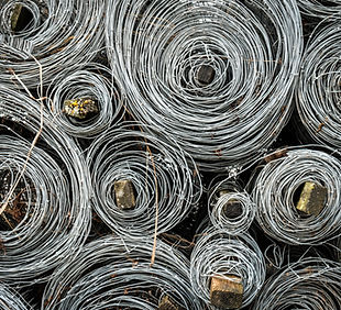 Image by Daniel Fazio