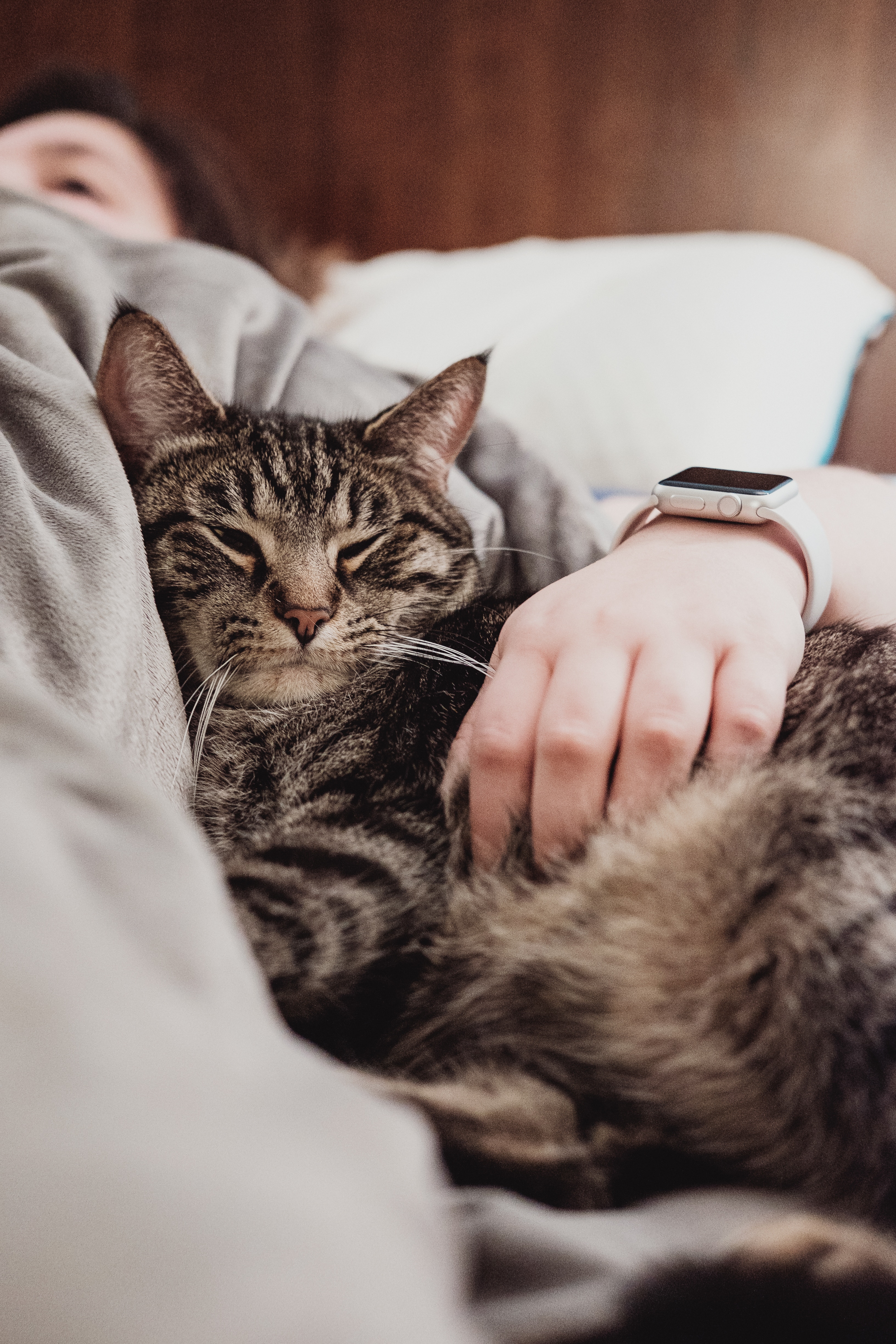 Pet Sitting (Drop-In & Overnight) - Pet Sitting