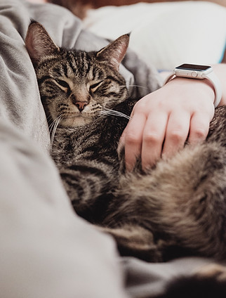 Pet owner gently cuddling a cat, expressing love and comfort symbolizing compassionate care from VetCare2Image by Chris Abney