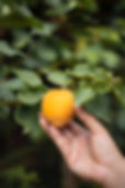 Image by Bon Vivant