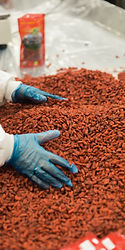 Une délicieuse tablette de chocolat artisanal du Jura, fabriquée selon les coutumes ancestrales locales.