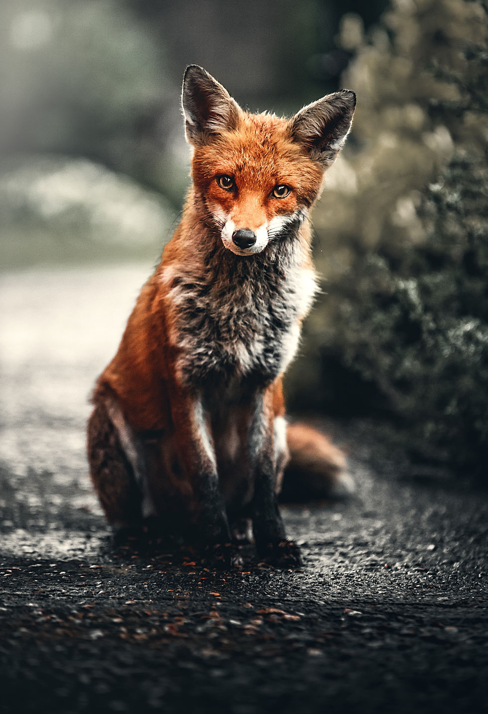 Image by Alexander Andrews