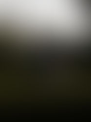 The Hidden Secret of Self Love: Self-Trust 