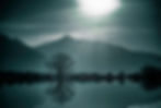 Image by Kourosh Qaffari