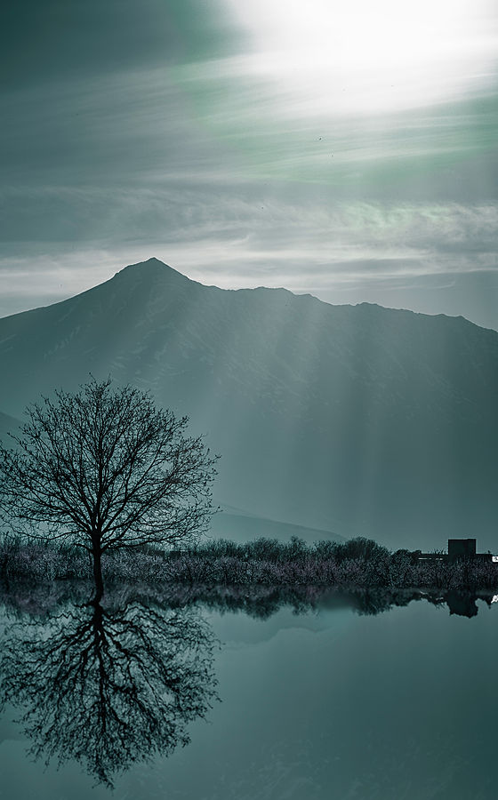 Image by Kourosh Qaffari