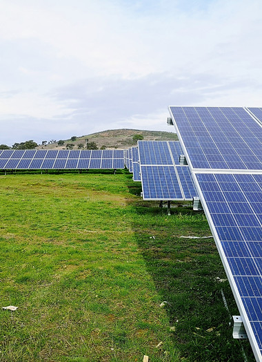 Image by Mariana Proença