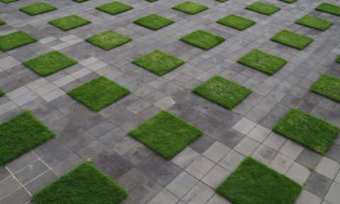 Grass on Concrete