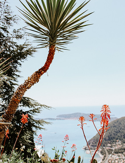 Image by Patrick Boucher