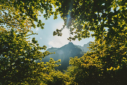 Image by Jakob Owens