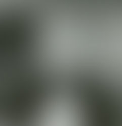 Florida’s academic standards distort contributions that enslaved Africans made to American society