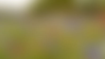 Auferstehung mitten unter uns