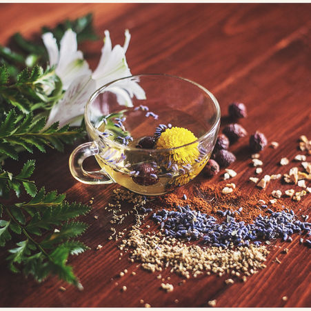 🌿 Benvenuti al FIKA FESTIVAL a Levico Terme! Valsugana, da amare per conoscere la tradizione svedese in Trentino!🌿