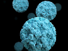 נגיף הקורונה ודמנציה