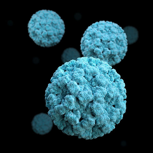 Image by CDC