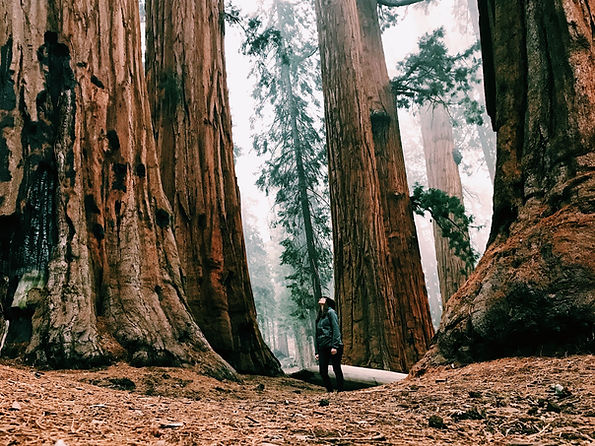 Image by Hannah Vorenkamp