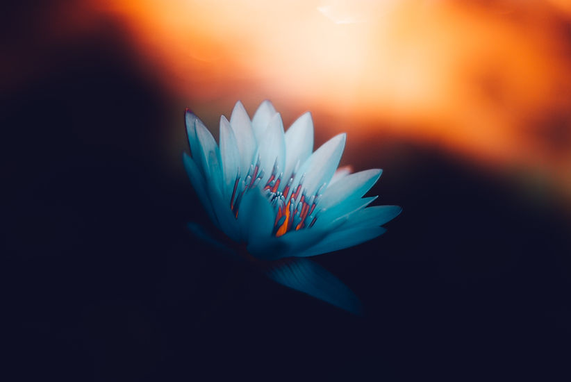 Image by Ameen Fahmy