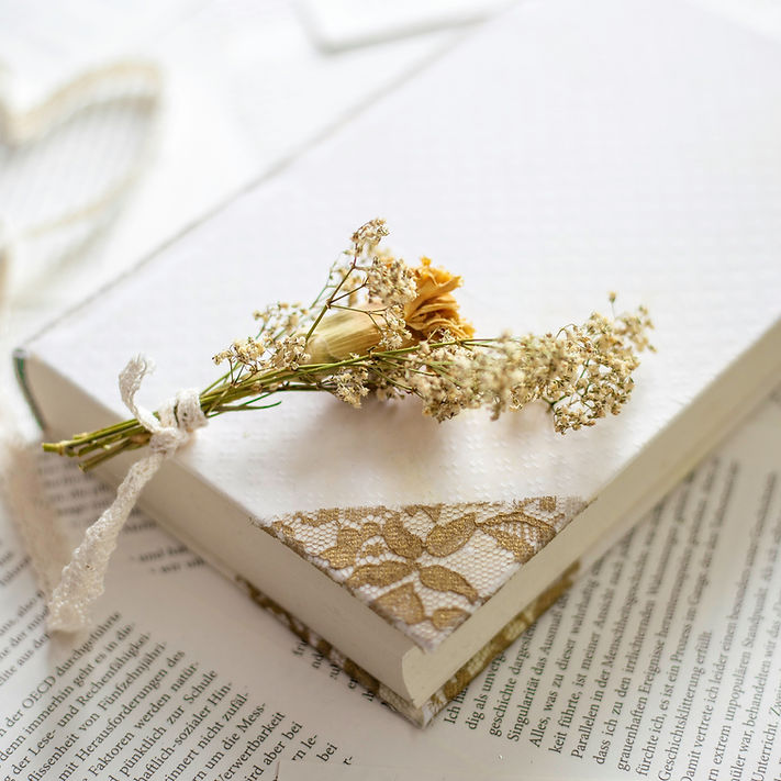 Image by Katrin Friedl