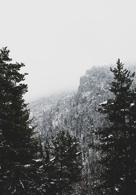 Image by Klemen Vrankar