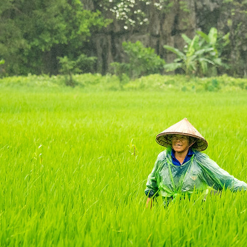 Image by Andre Ouellet